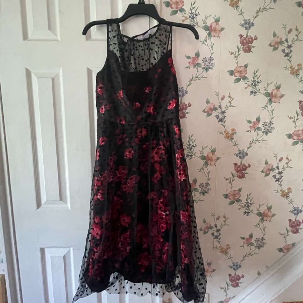 Dress Barn Dress